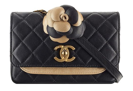 Chanel Bags Collection & More Details...