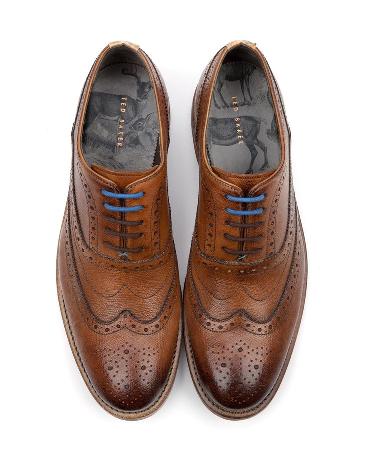 Oxford brogue shoe - GURI by Ted Baker