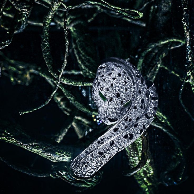 AlmaKarina Jewelry Photography. “Night Shades 🌿 Cartier Bracelet.”