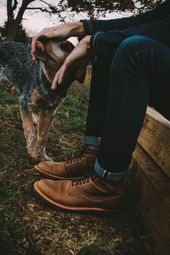 Boots, Denim, Dog