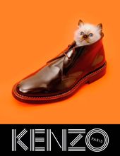 Kenzo 2013 F/W Campaign With Japanese Actress Rinko Kikuchi Ft. Model Sean O’P...
